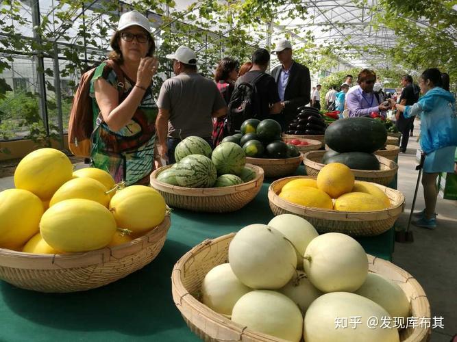 "后期随着各类夏季时令水果的上市量继续加大,全国瓜果价格将继续走低