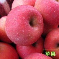 潍坊美国八号公司推荐瓜果蔬菜 潍坊市瓜果蔬菜购销中心 甜瓜 苹果 西瓜 萝卜