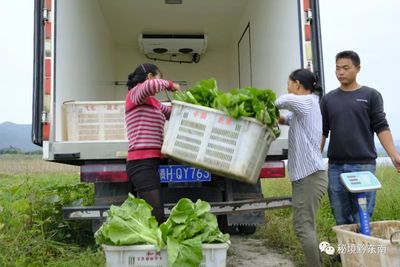 【聚焦天柱】瓜果丰收好时节 校农结合助脱贫